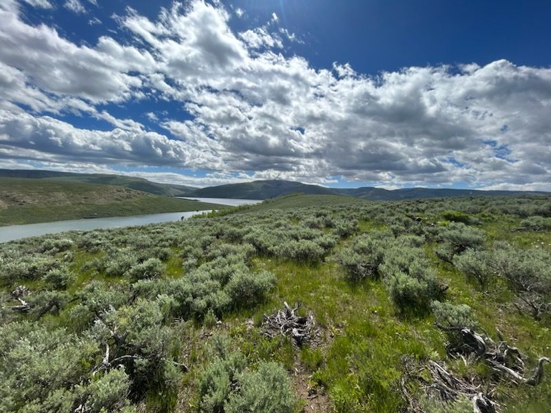 2.13 Acre Lot in Scofield Mountain Estates!