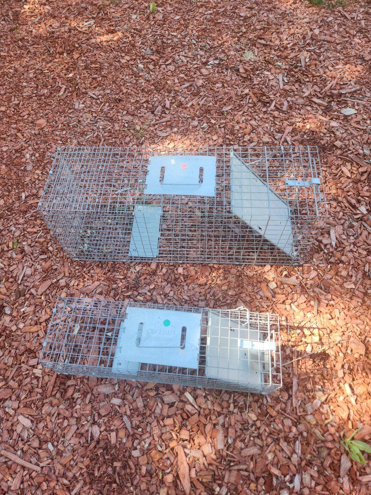 large and small varsity traps