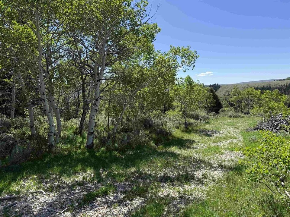 Main image 20