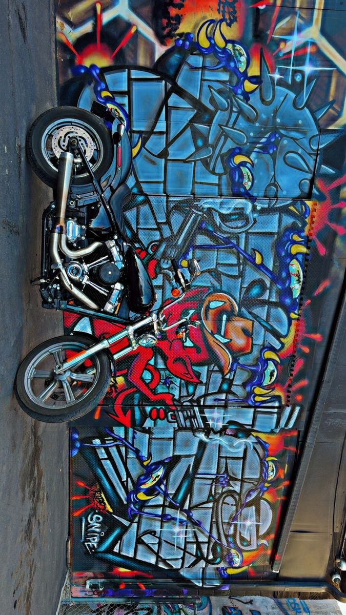 2022 Softail Standard