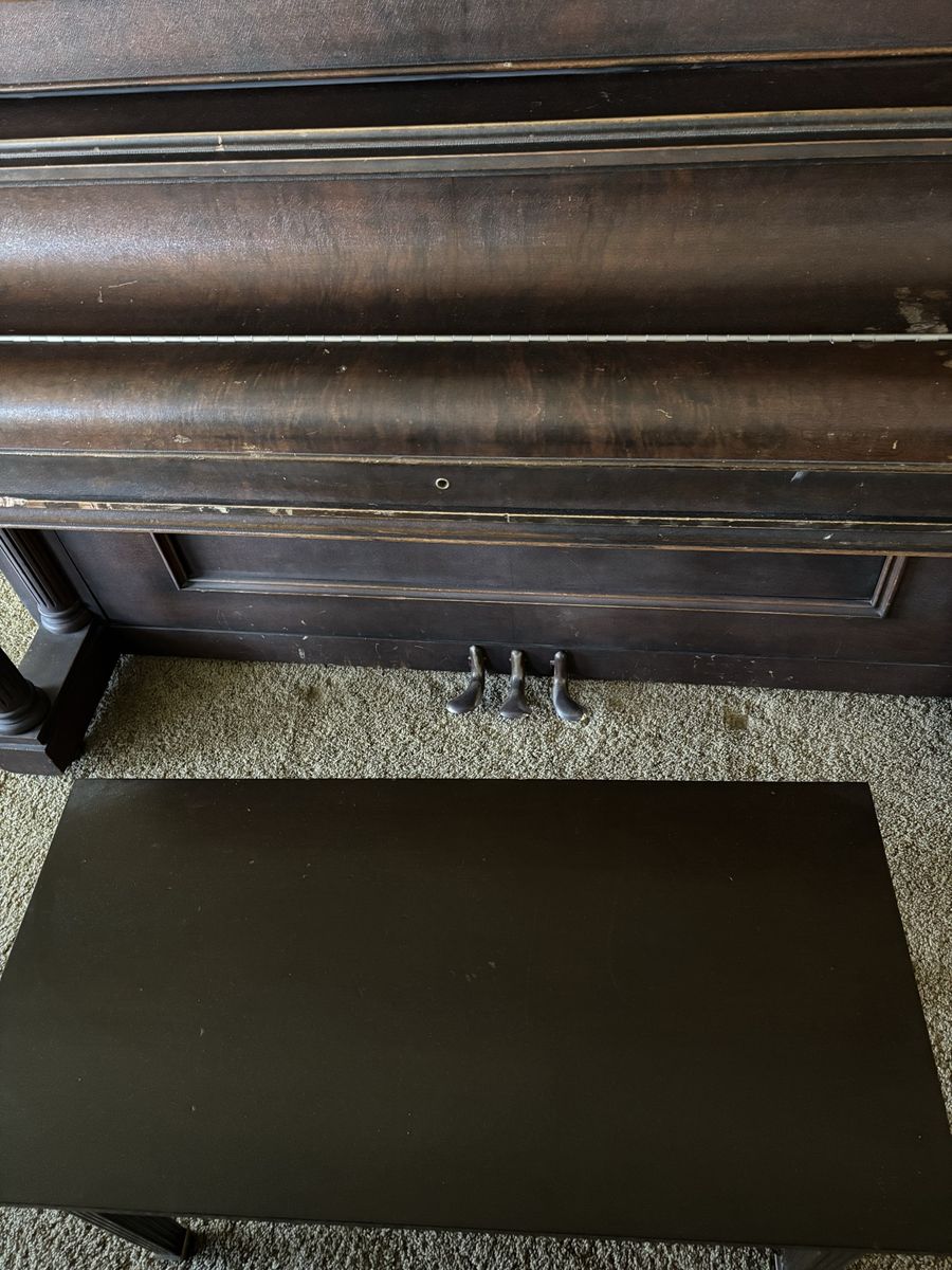 Main image 6