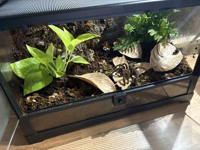 Terrarium