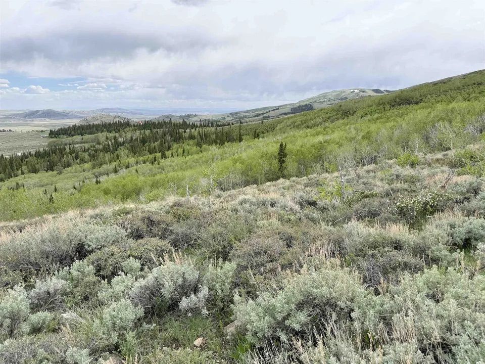 Main image 13