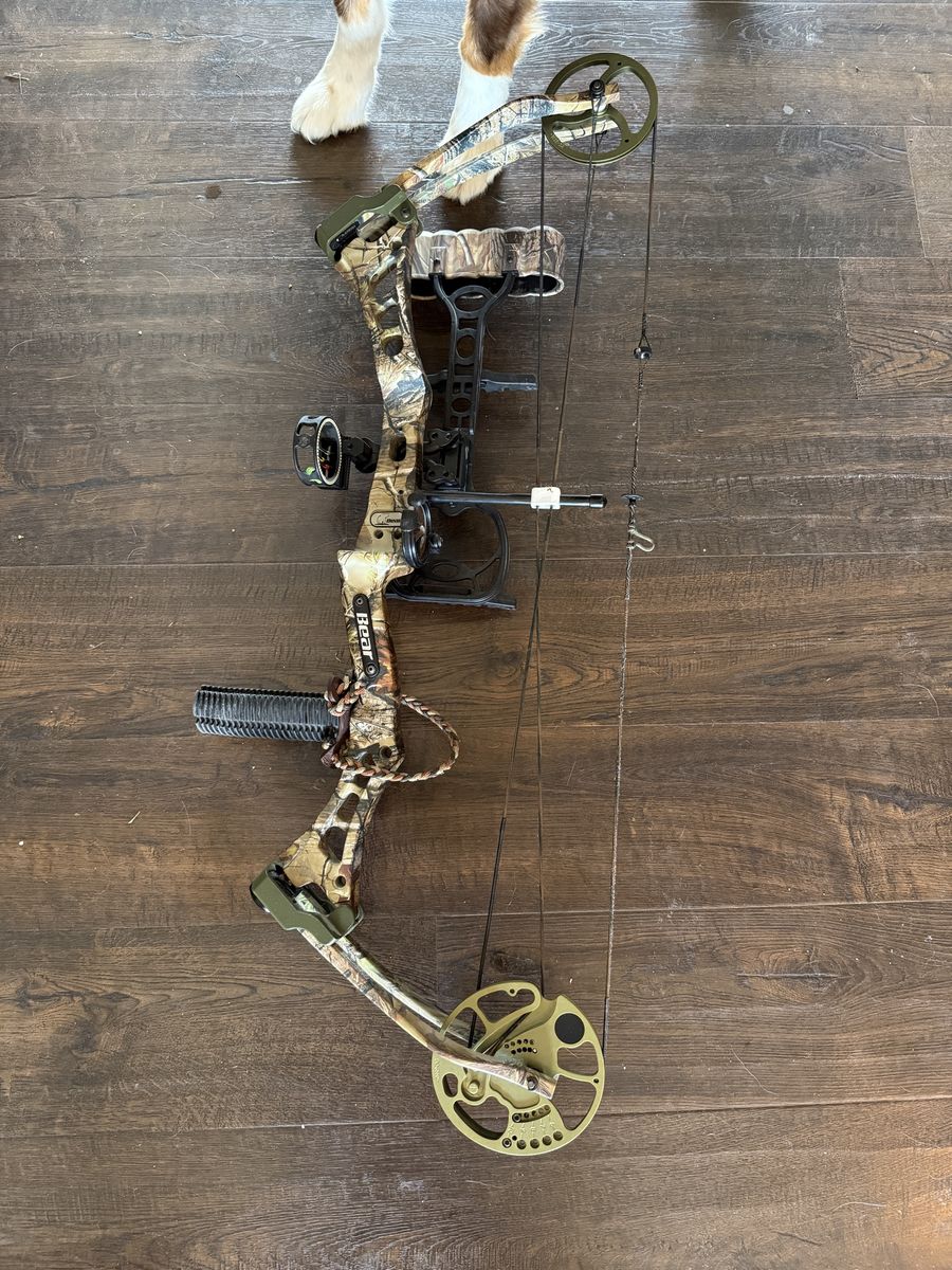 Bear Charge bow