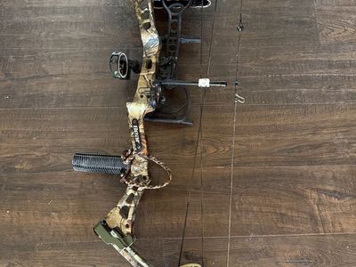 Bear Charge bow