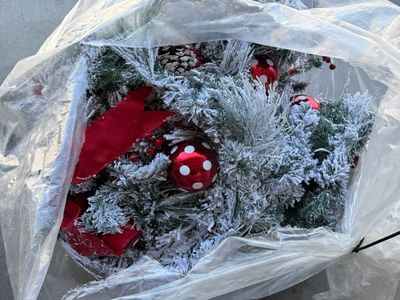 Christmas lot