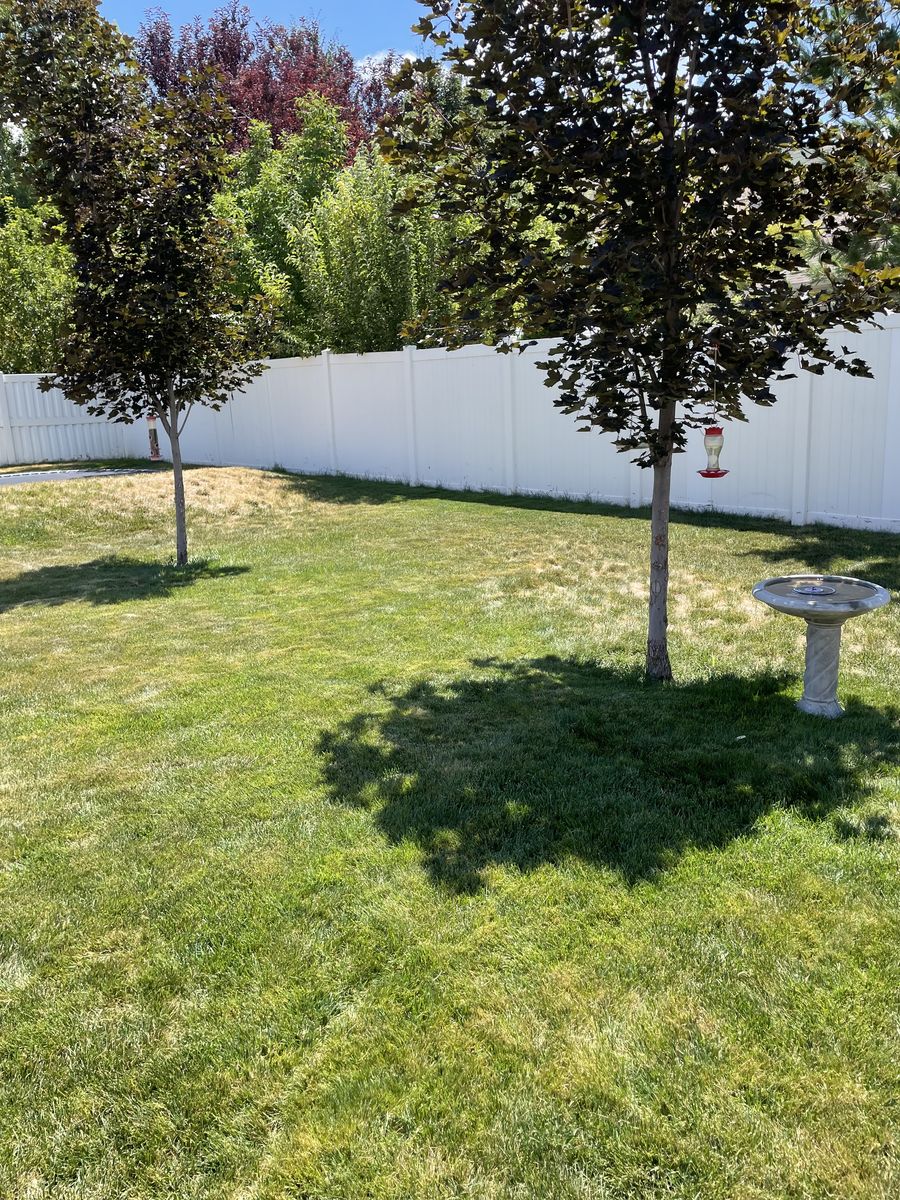 https://www.airbnb.com/h/studiopayson