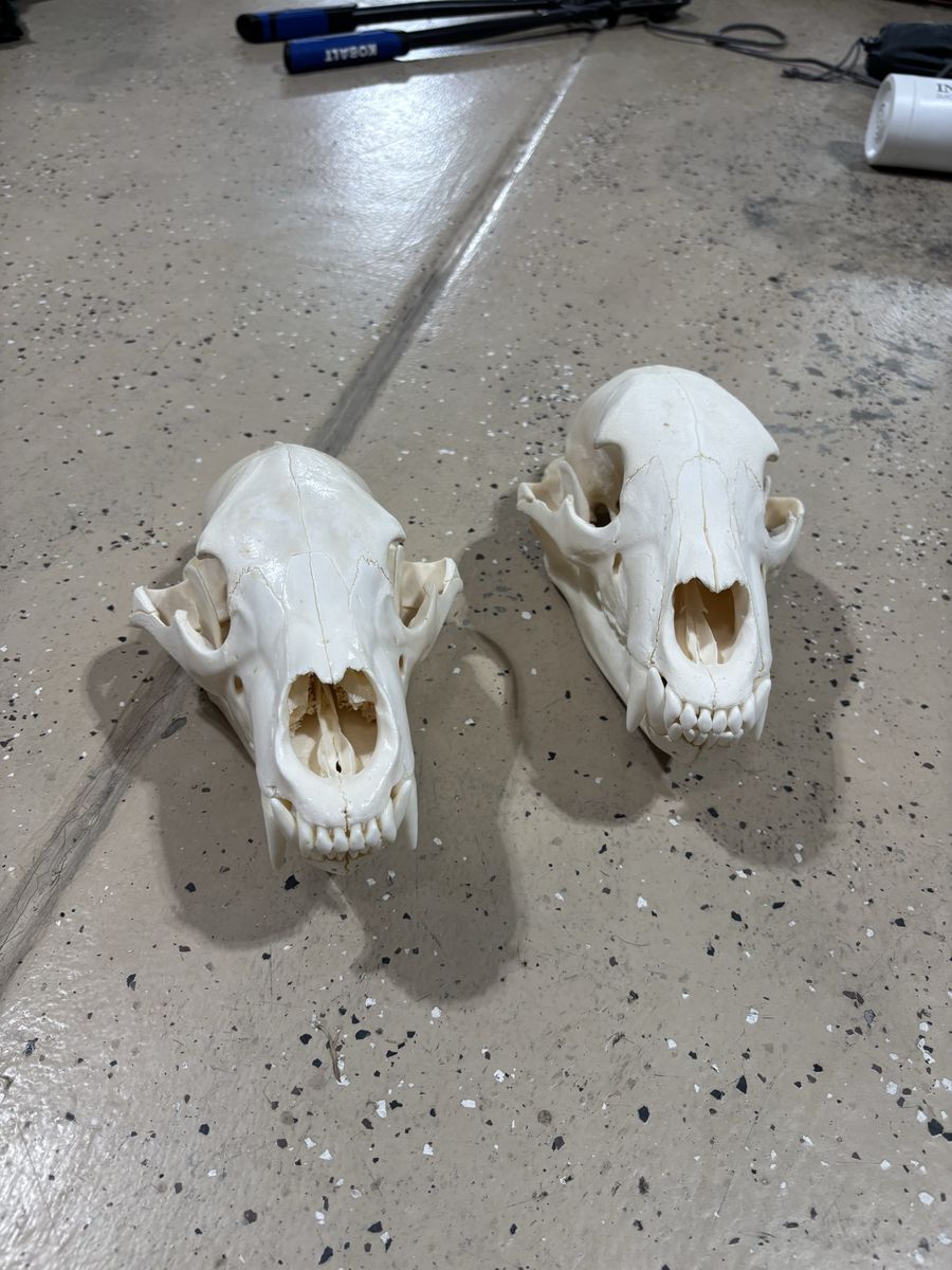 Main image 2