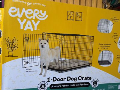 medium dog crate