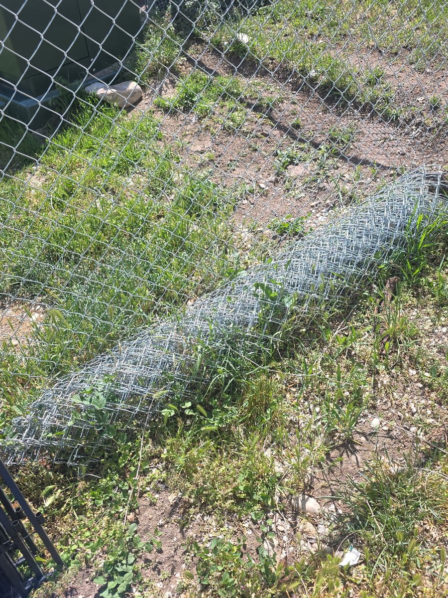 Wire Fence