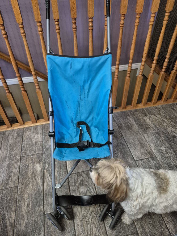 Umbrella Stroller