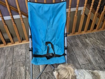 Umbrella Stroller
