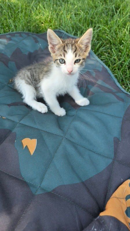 Main image 23