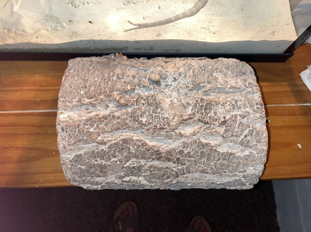 Main image 6