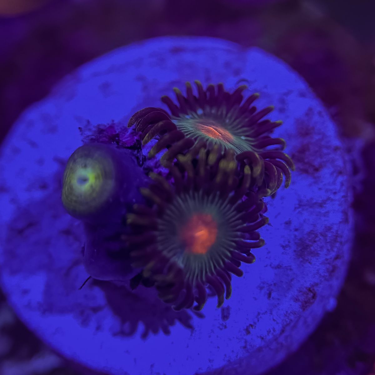 Main image 3