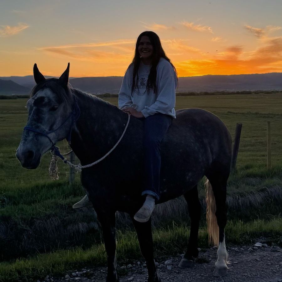 5-Year-Old Walking/Draft Cross Mare