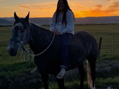 5-Year-Old Walking/Draft Cross Mare
