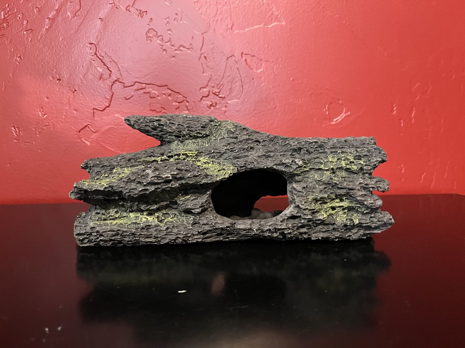 $10 FOR ALL Aquarium Supplies