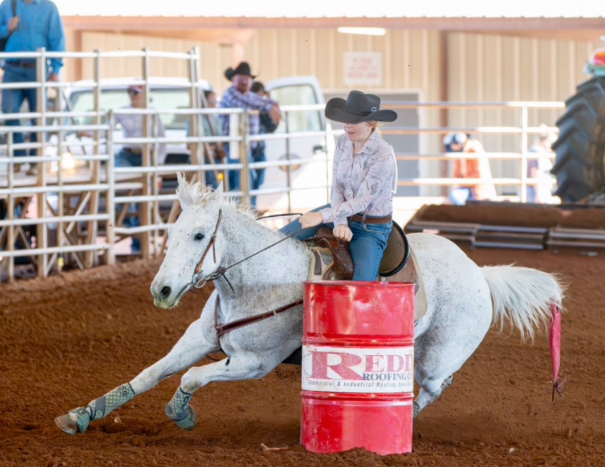 Barrel Horse