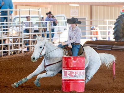 Barrel Horse