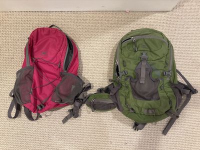 REI Co-op Flash 18 & Flash 22 Lightweight Hiking Daypacks - Pink & Green Set