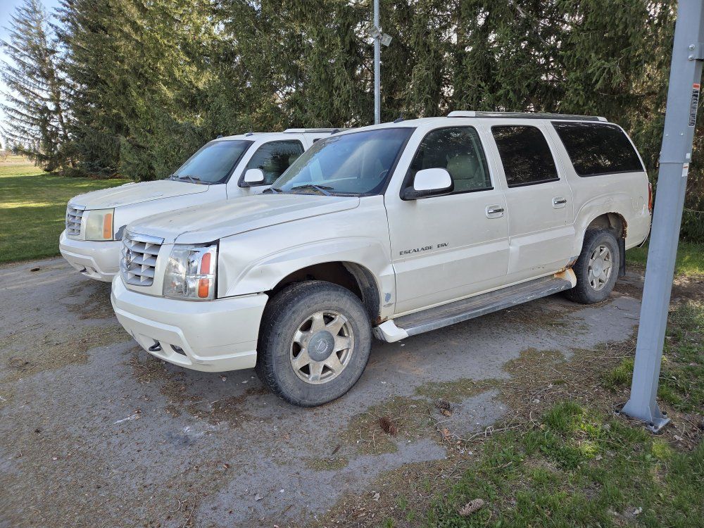2 2005 Escalades for sale.