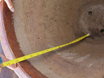 Large Porcelain Pot for plants