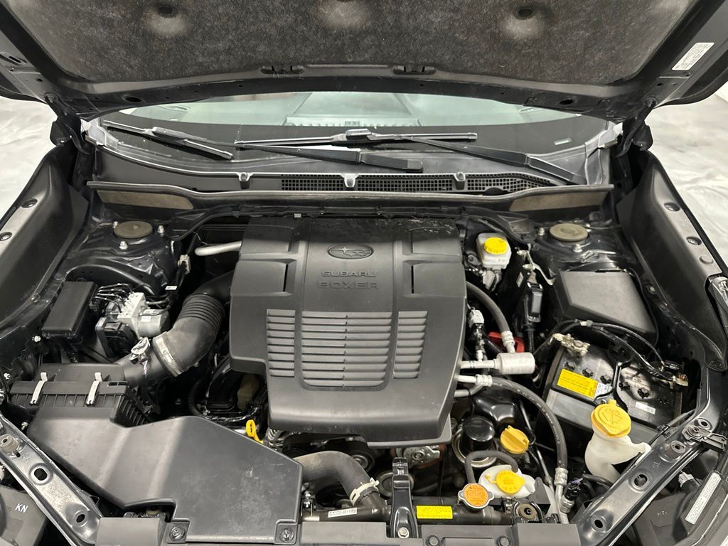 Main image 3