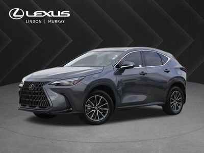 2025 Lexus NX 350h Luxury