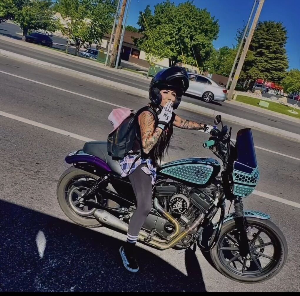 2019 Harley Davidson Sportster 1200