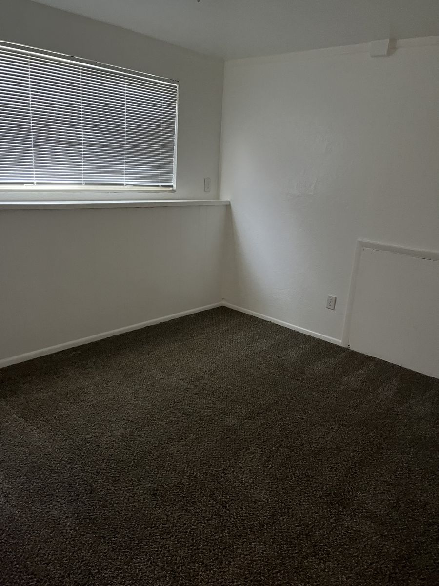 Main image 5