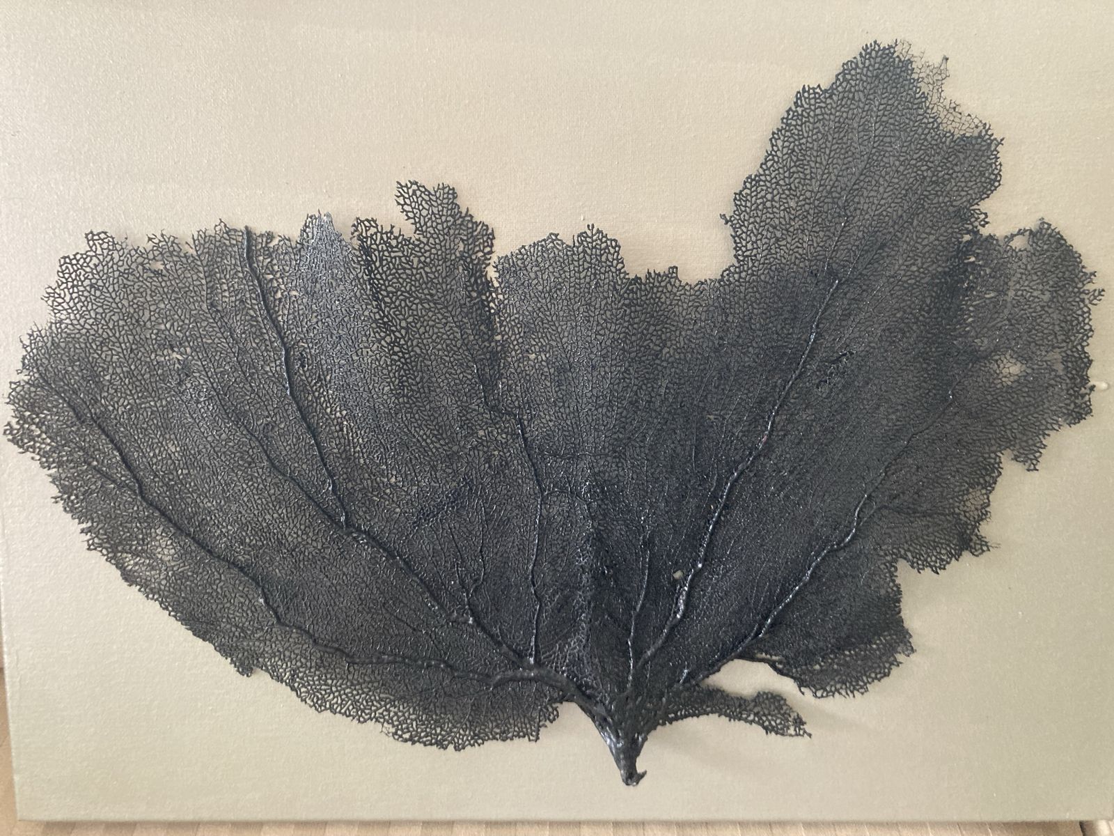 Main image 3