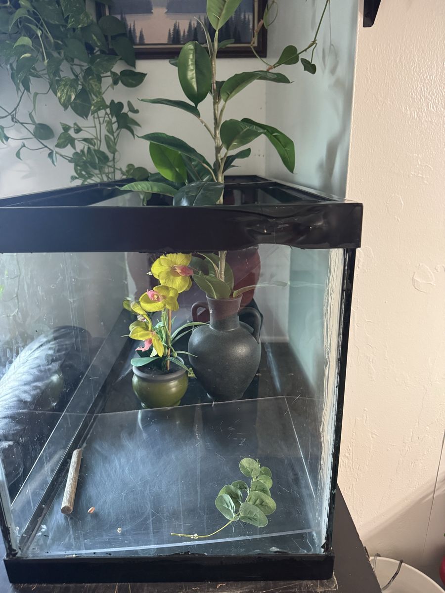 75-gallon fish tank