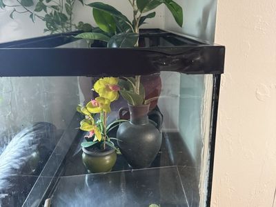 75-gallon fish tank