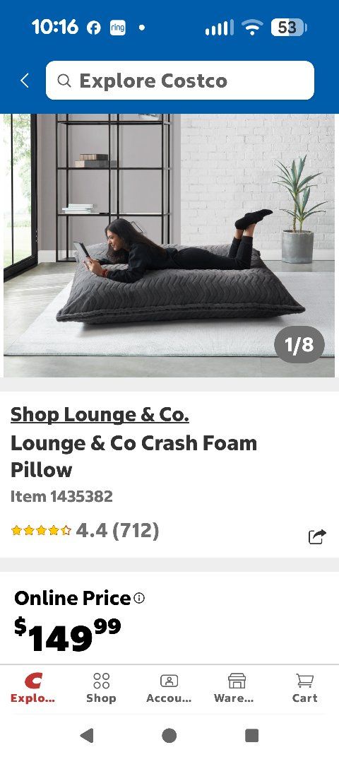 Two, Lounge & Co. Crash Pillows from Costco.