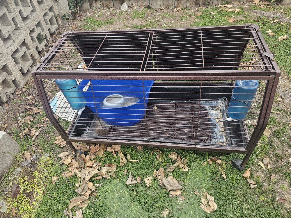 Rat Cage + Extras