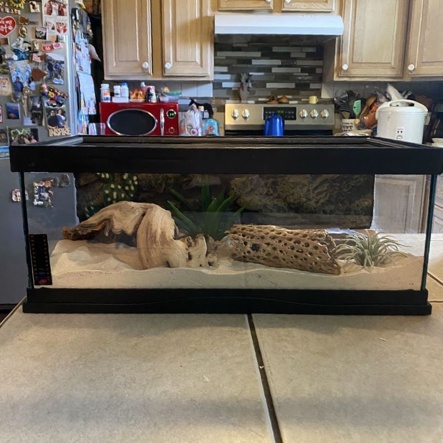 6.6 gallon long tank