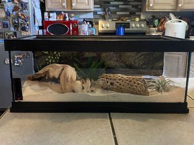 6.6 gallon long tank