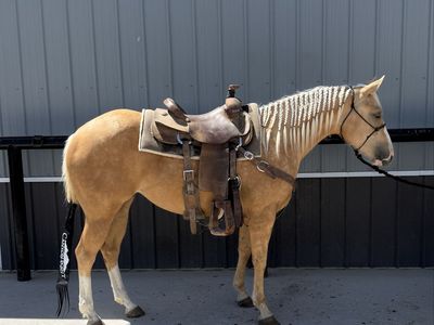 3 yo Cowbred Filly