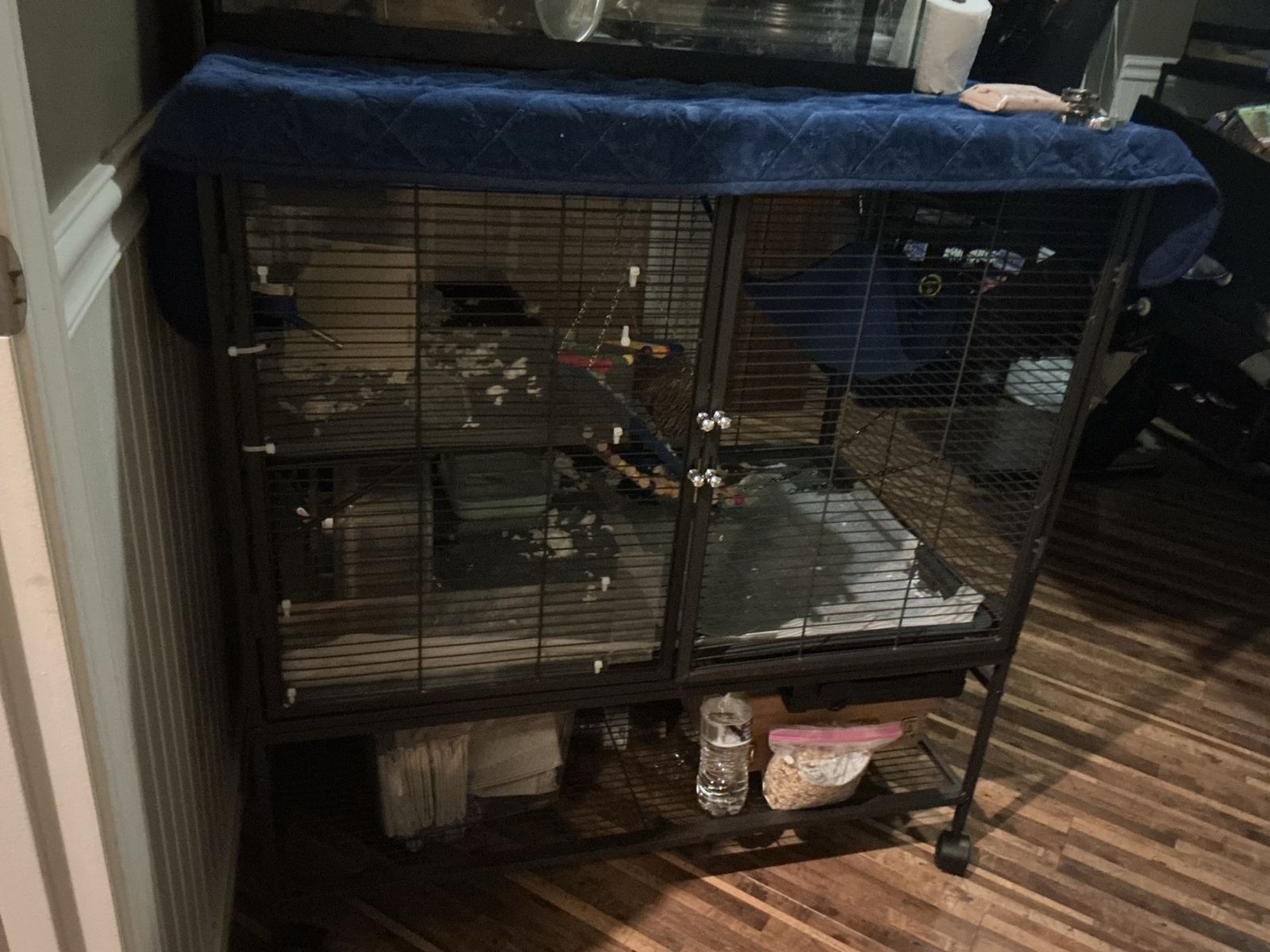 Hamster cage