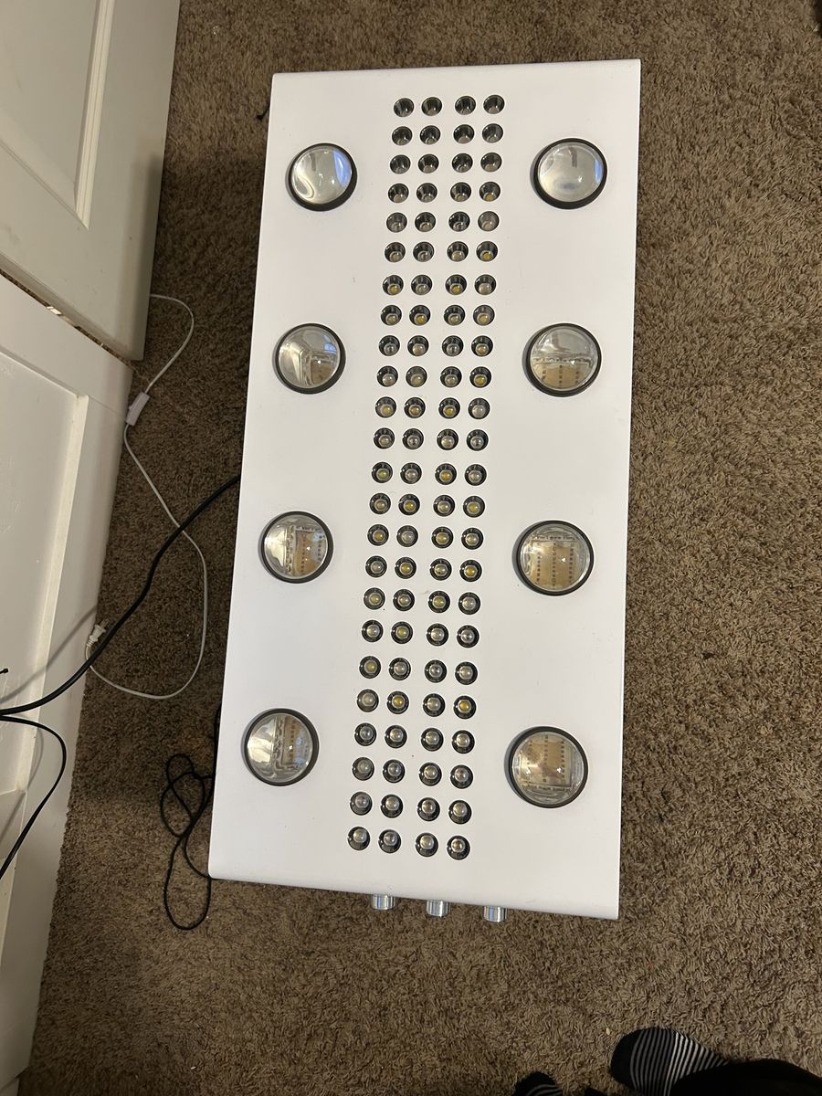 Grow lights lighting