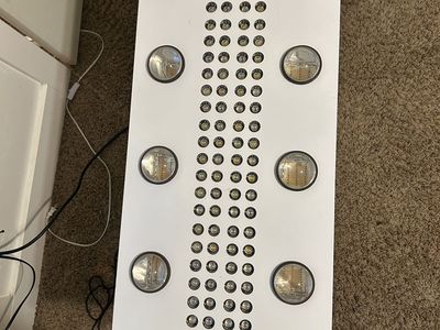 Grow lights lighting