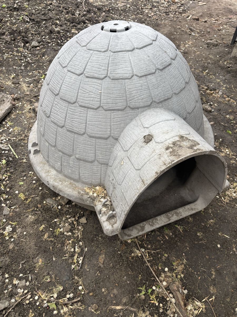 Dog Igloo