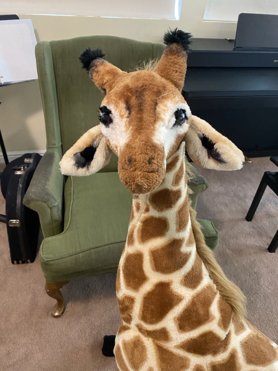 Stuffed Giraffe 4 feet tall