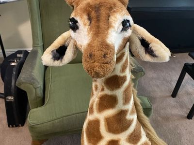 Stuffed Giraffe 4 feet tall