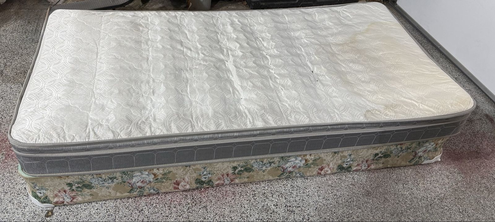 FREE Twin mattress and box springs