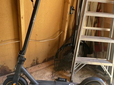 Adult E Scooter