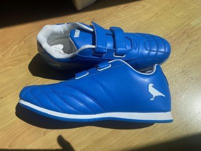 Brand New Shoes