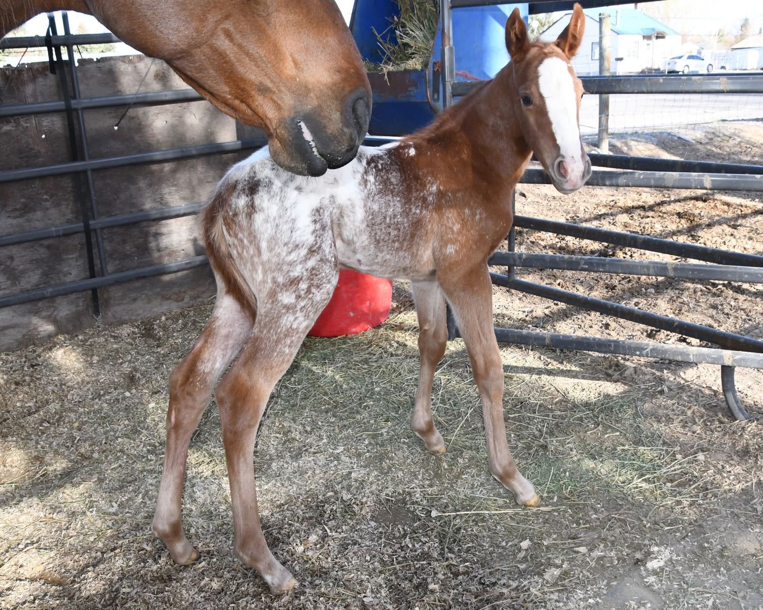 Main image 11