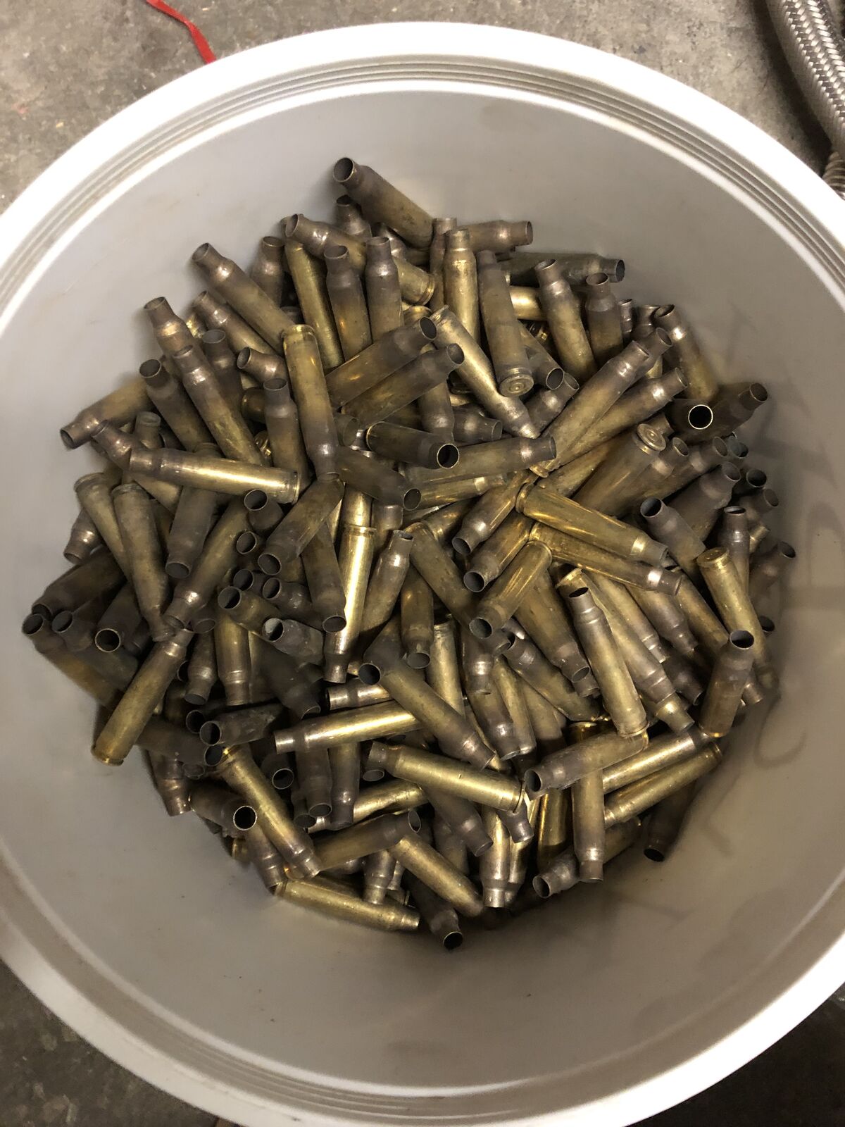.556 LC once fired brass casings 500 count